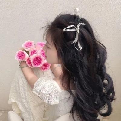 我当歌手的日子 海报